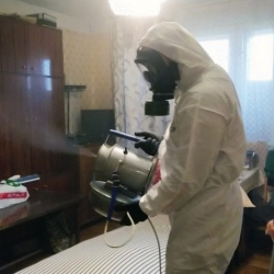 Дезинфекция от клопов в Чудово