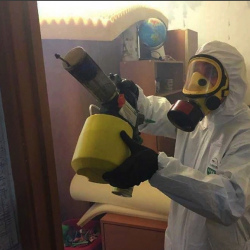 Уничтожение клопов в квартире. Чудово